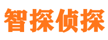 桑日捉小三公司